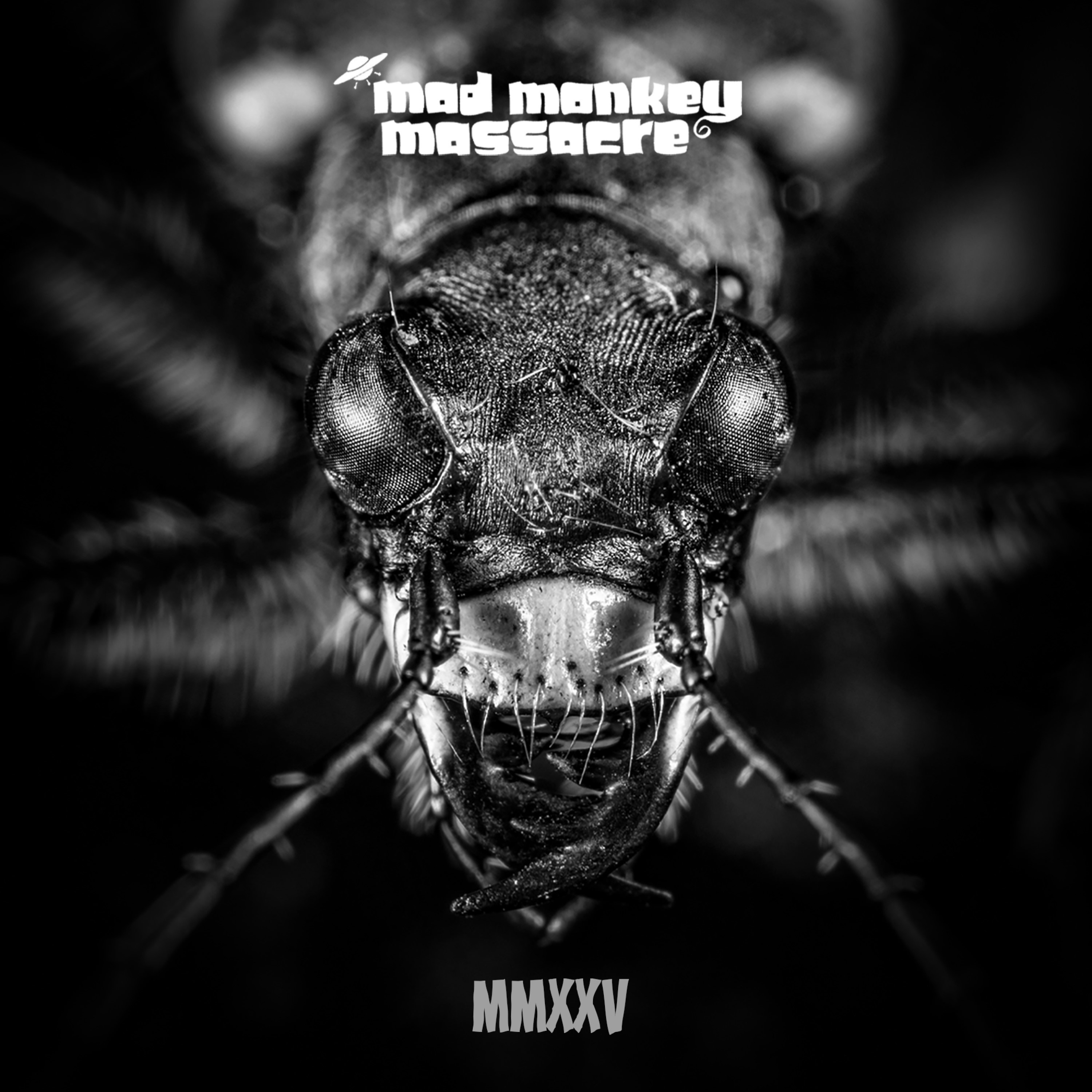 Mad Monkey Massacre - Nicht du (MMXXV)