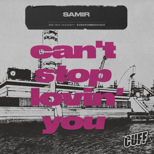 Can't Stop Lovin' You - Single