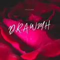 D.R.A.W.M.H (Don't Run Away With My Heart)