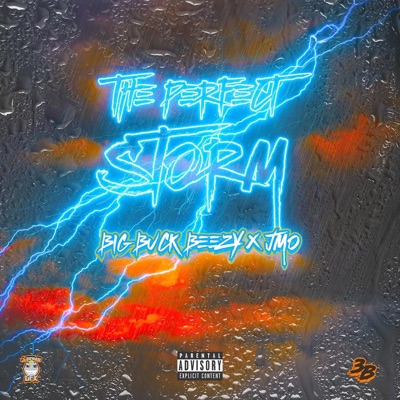 THE PERFECT STORM (feat. JMO) - Single