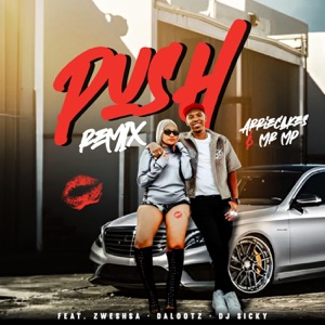 Push (Remix) [feat. ZweshSA, DaLootz & Dj Sicky]