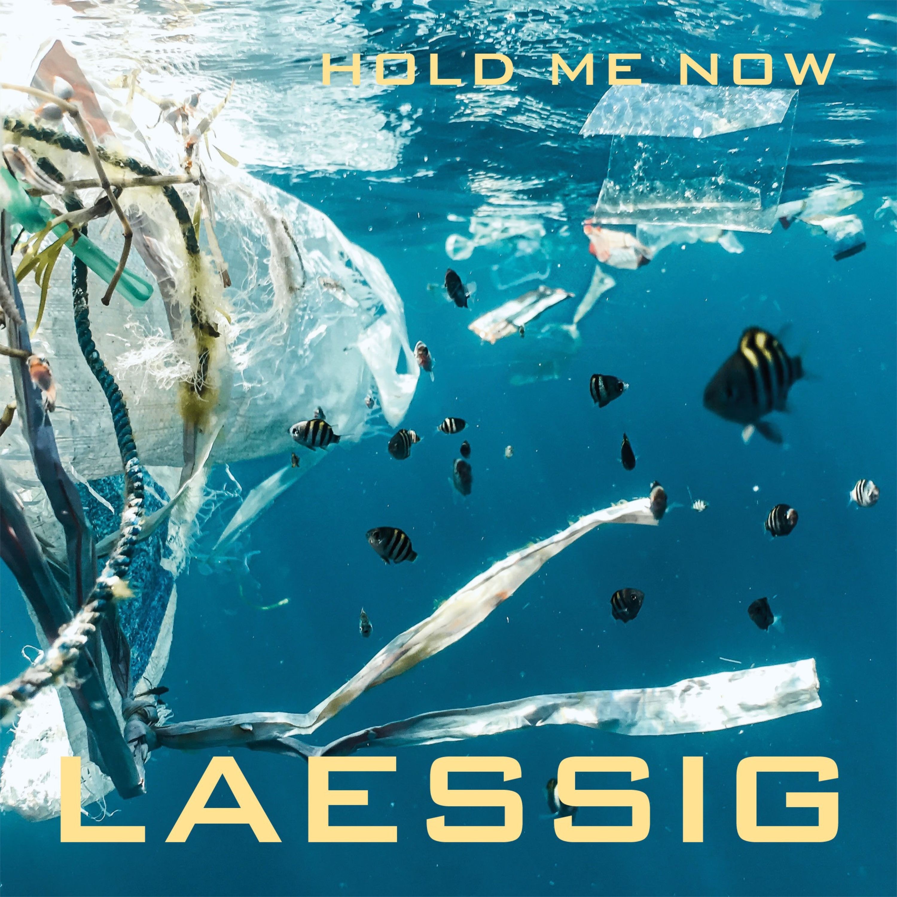 Hold Me Now - Single