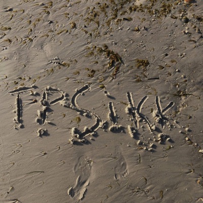 Penny hardaway - Single