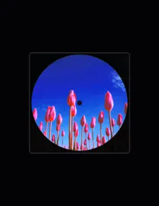 Listen to Sideluv, watch music videos, read bio, see tour dates & more!