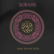 Surahs - Qari Ziyaad Patel