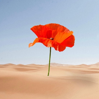 More Than a Friend - Single