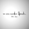 Seiler und Speer - in ana aundan Sproch (Radio Edit) Grafik