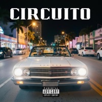 Circuito (feat. Alex Phantom) - Single - Andres Melz & AlMV