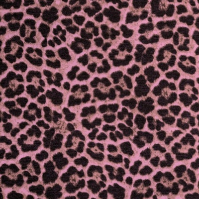 555 (feat. saintayga) - Single