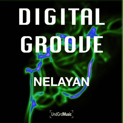 Digital Groove - Single