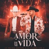 El Amor De Mi Vida - Single