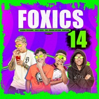 Foxics 14 (feat. Tadando gustavo & Taxupando) - Single - Chelzinho no Beat, Leandro Fuxicando & Jadeu Leozin