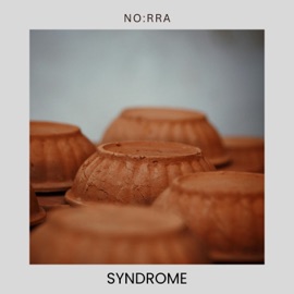 Syndrome Norra