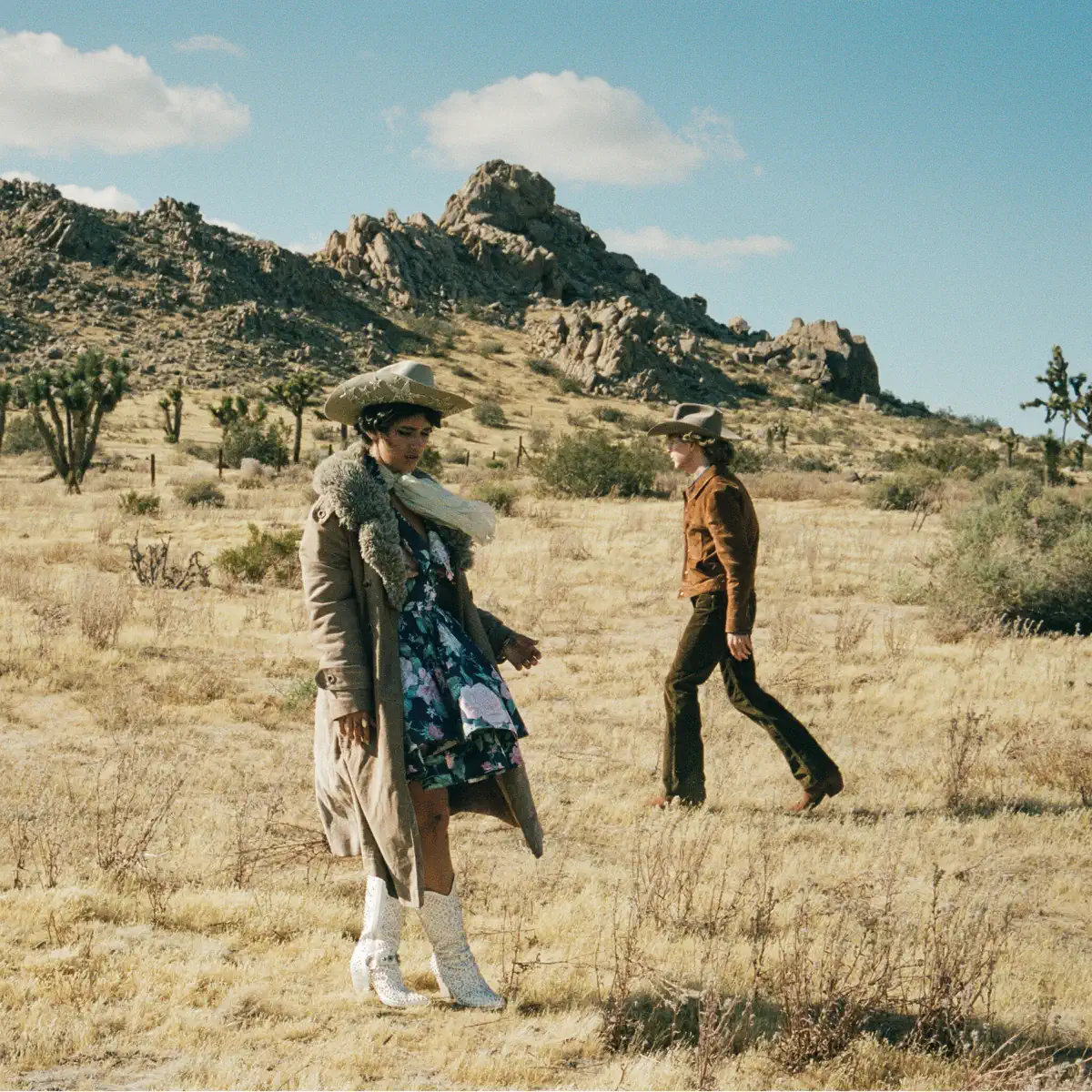 Beck - Ride Lonesome - Single (2026) [iTunes Plus AAC M4A]-新房子