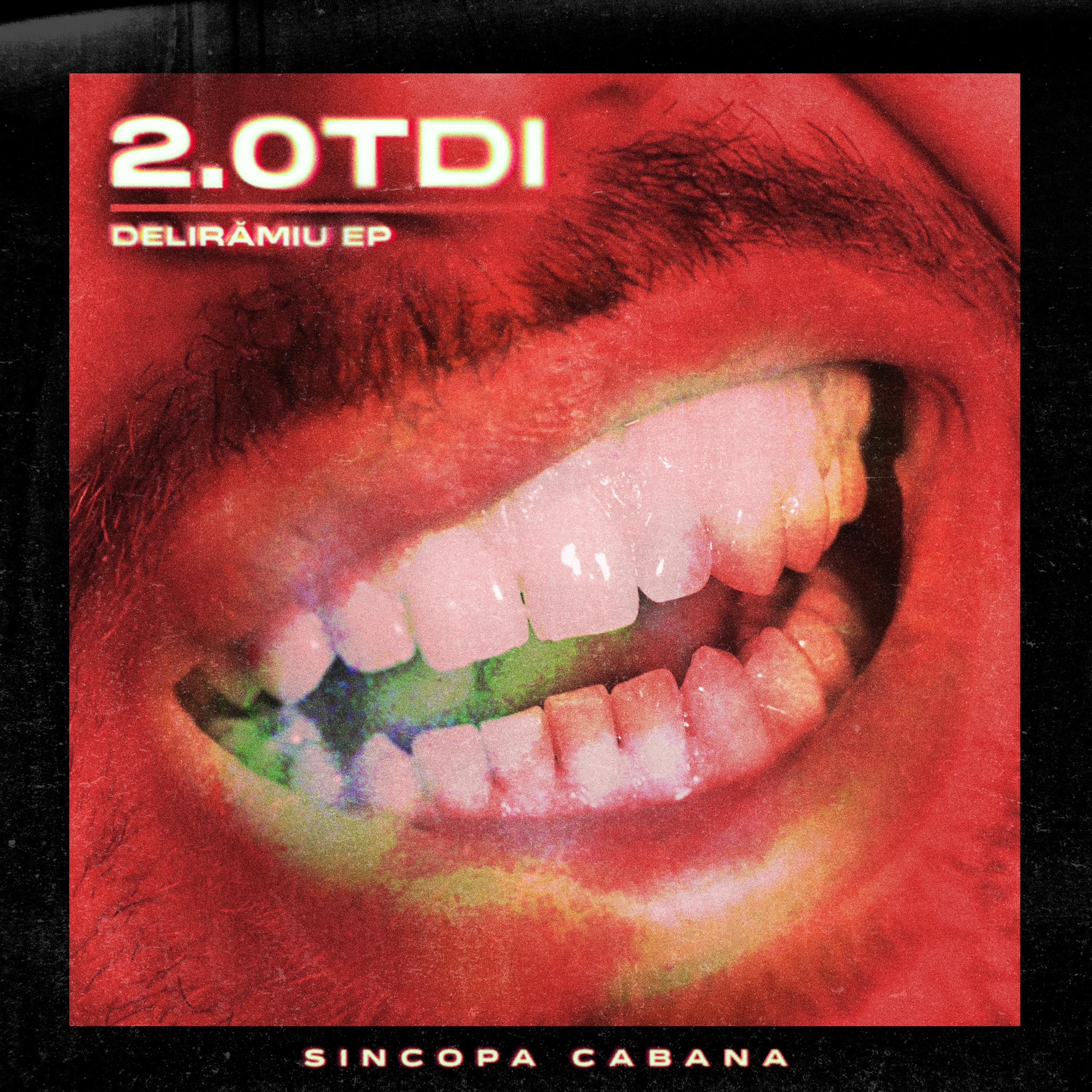 2.0 TDI - Single