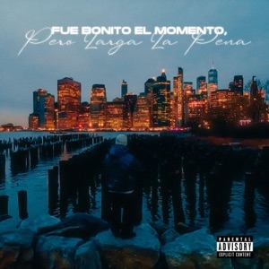 Fue Bonito El Momento, Pero Larga La Pena - Single