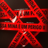 ESSA MINA É UM PERIGO - Single - DJ FELYPINHO 013, MC NAUAN & MC GW