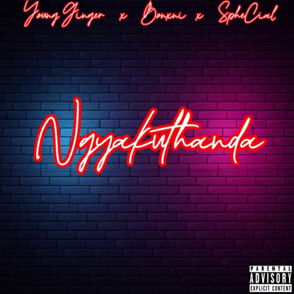 Ngyakuthanda (feat. BONXNI, Sphecial & Christina) - Single