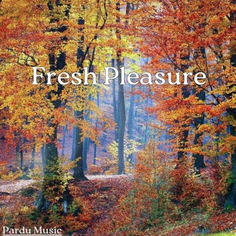 Fresh Pleasure - Single