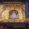 Sébastien Valter Echo fantasia in a Tra gli splendori del Secolo d'oro e i clamori risorgimentali - Organo Fratelli Bruna 1808-10/Giacomo Bossi Vegezzi 1872 - Chiesa di S. Maria Assunta - Montanaro (TO)