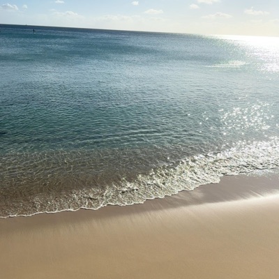 Delusional Love (feat. Gvlli3, Aries Bloom & Prodtybeats) - Single