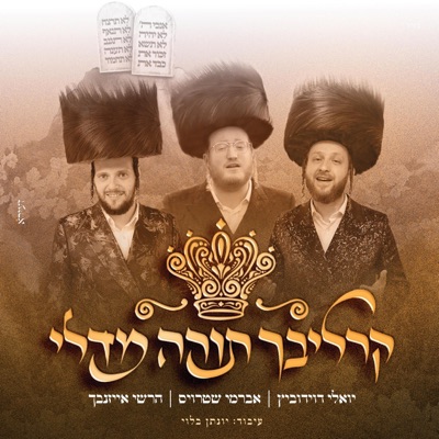 Carlebach Torah Medley - קרליבך תורה מדלי - Single