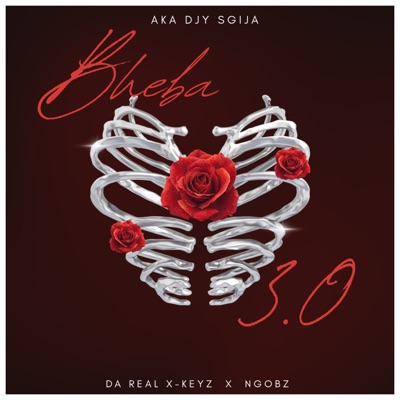Bheba 3.0 (feat. Dj Andile SA) - Single