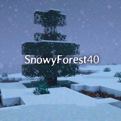 WXRFOX - SnowyForest40