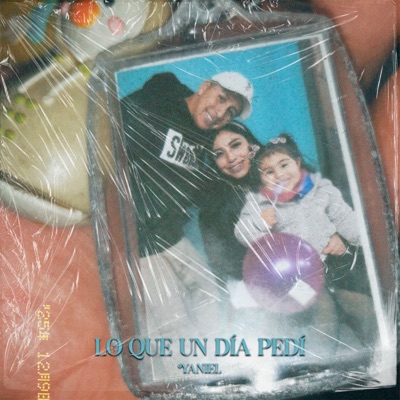 Lo Que un Día Pedí - Single