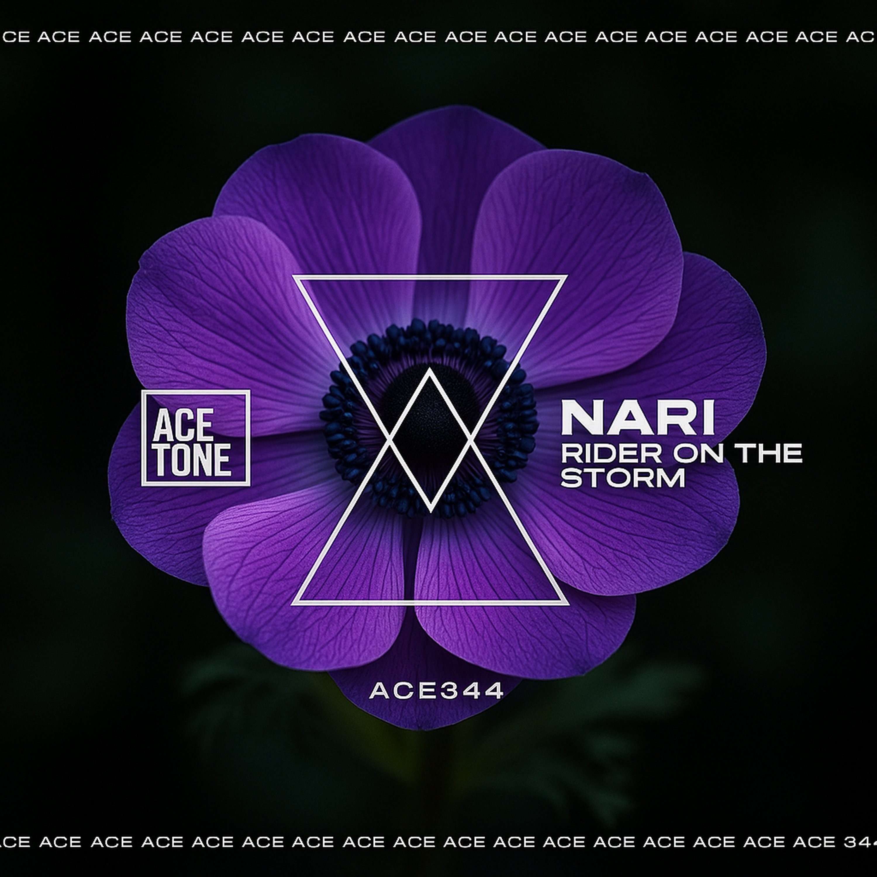 Riders on a Storm - Single