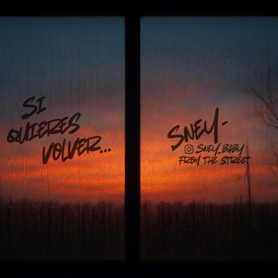 Si quieres volver - Single