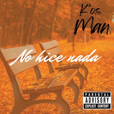 no hice nada - Single