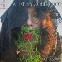 What Ya Gonna Do? (feat. Sonata Lee Cantata) - Single - CRONAM