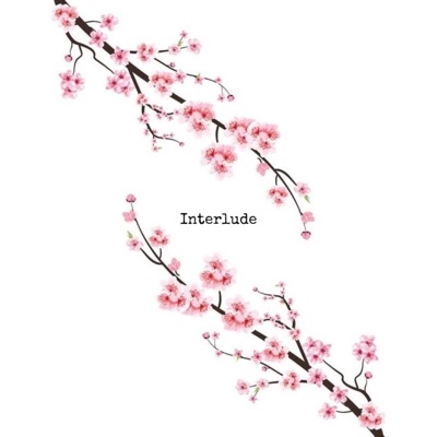 Interlude - Single