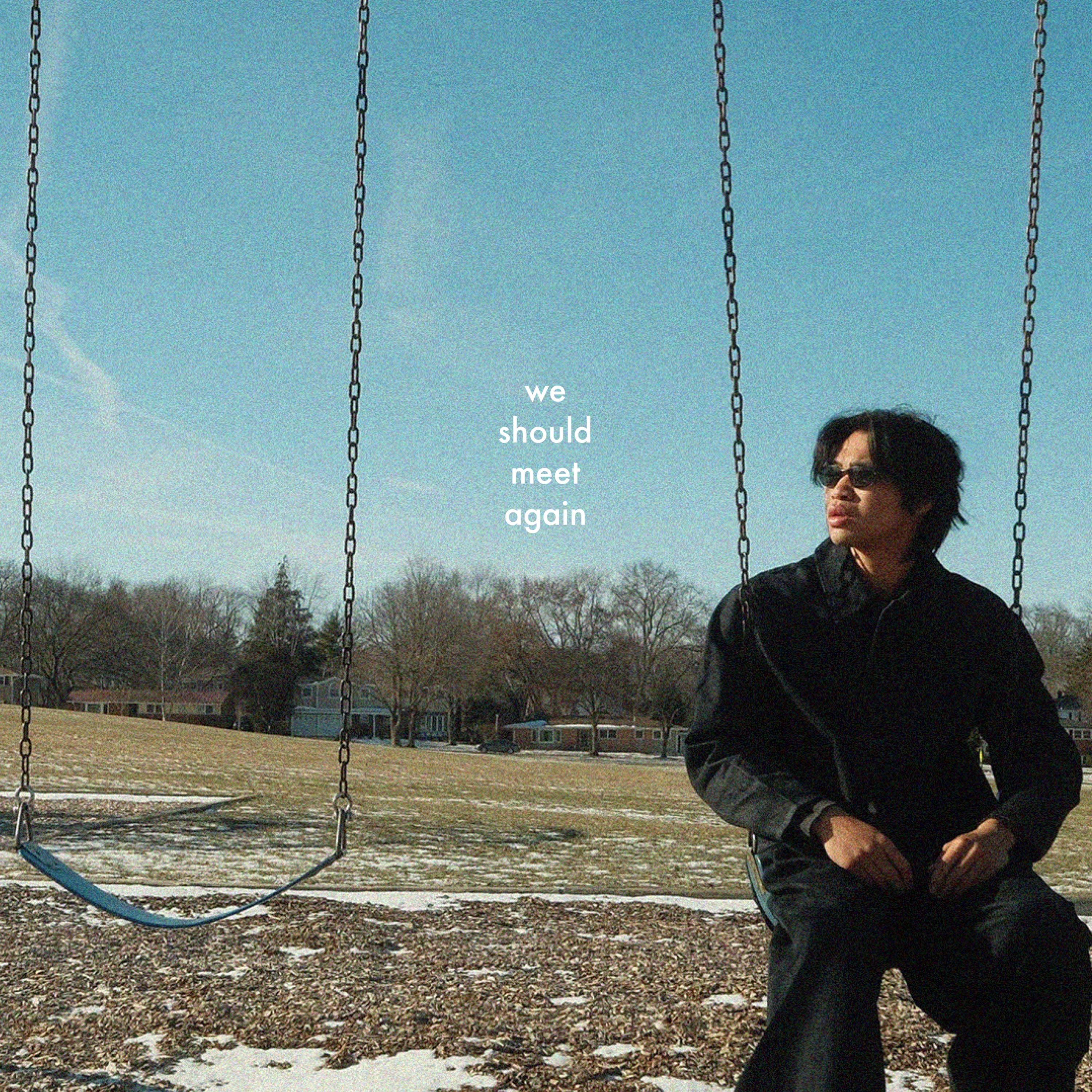 we should meet again - Single