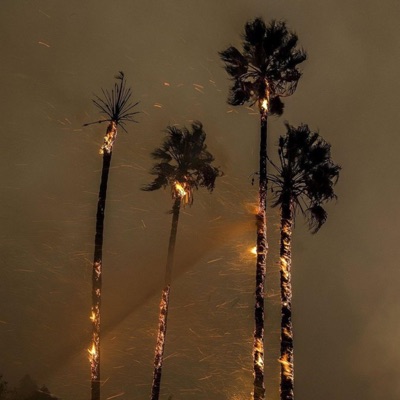 Highs & Lows (feat. Steezbeatz_Wrlwd & Dante) - Single