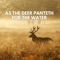 As the Deer Panteth for the Water - Eternalgrace Music lyrics