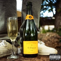 FLIRT (feat. Vitorio) - Single - O FINESS