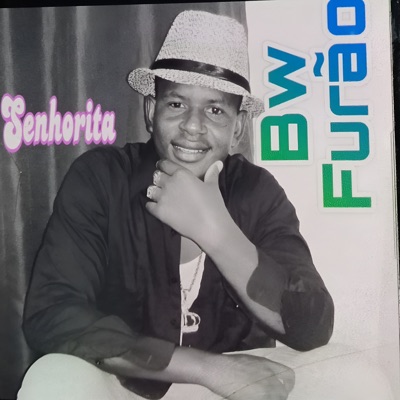 Senhorita - Single