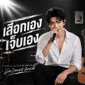 เสือกเอง เจ็บเอง