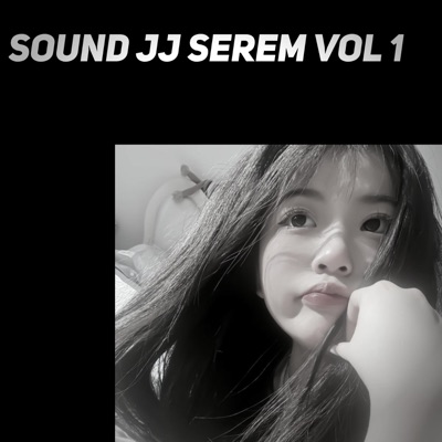 Andikaa Saputraa - Sound Jj Serem, Vol. 1