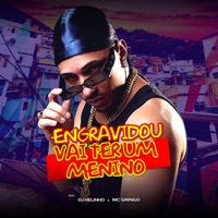 Engravidou Vai Ter um Menino - Single - DJ Helinho & Mc Gringo