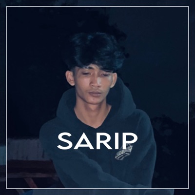 SARIP - Dota