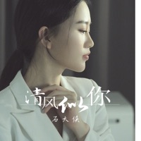 清風似你 (DJR7版) - Single - Shi Da Xia
