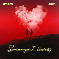 Somanya Flowers (feat. AGYE) - Single - Kro Leo