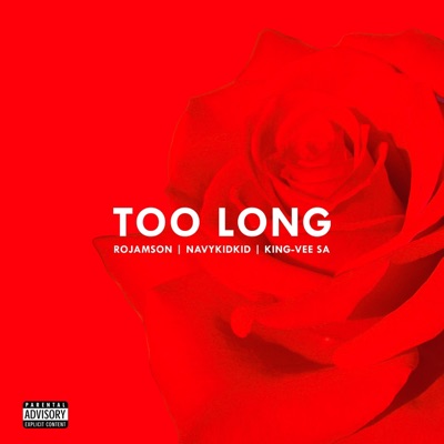 Too Long (feat. NavyKidKid & King-Vee SA) - Single