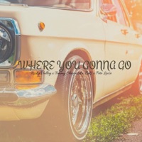 Where You Gonna Go (feat. Tommy Sheppard, Zak1 & Pete Loose) - Single - Rocky Valley & Tha Ridahz