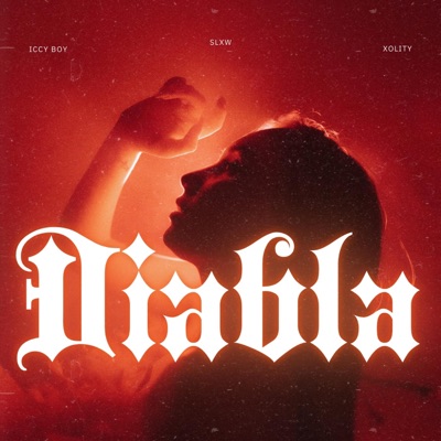 Diabla (feat. Xolity & Iccy Boy) - Single
