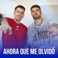 Ahora Que Me Olvidó (feat. Seba Caorsi) - Single - Maty Deejay