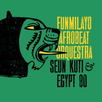 Upside Down - Single - Funmilayo Afrobeat Orquestra, Seun Kuti & Egypt 80'